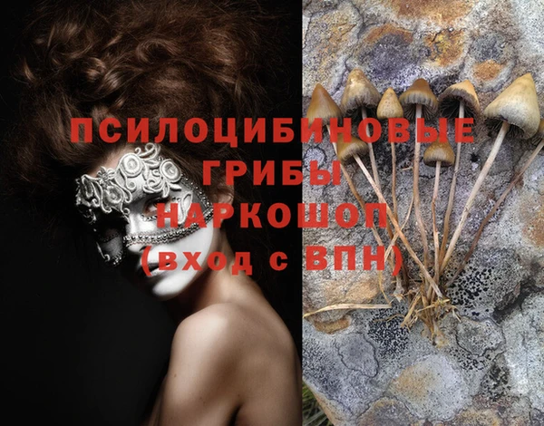 бутират Алексин