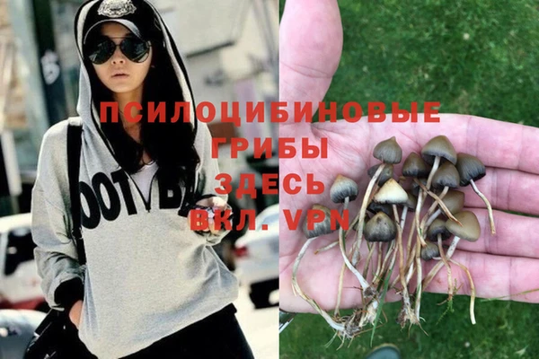 каннабис Алексеевка