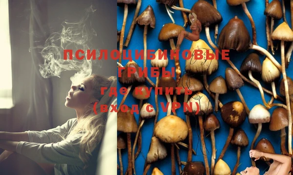 не бодяженный Алзамай