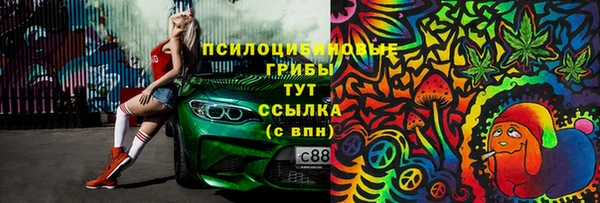 бутират Алексин