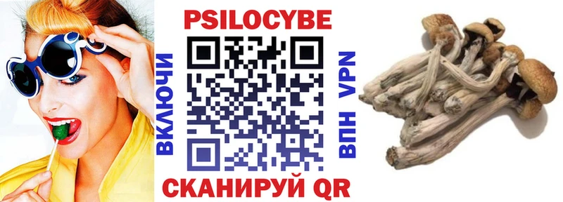 где можно купить наркотик  ОМГ ОМГ ССЫЛКА  Галлюциногенные грибы мицелий  Кувшиново 